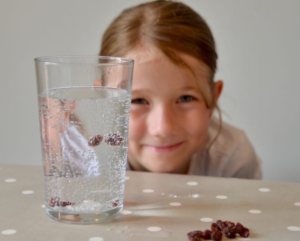 Raising Raisins - dancing raisins in a glass - kitchen science for kids