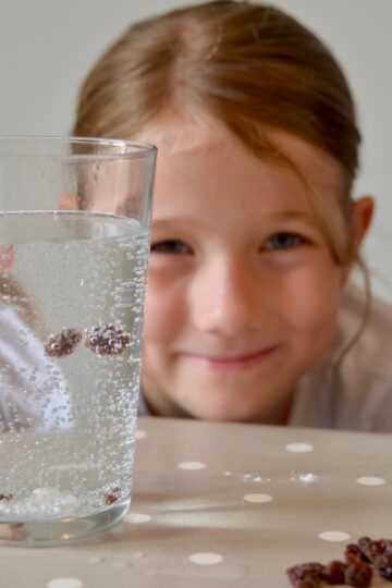 Raising Raisins - dancing raisins in a glass
