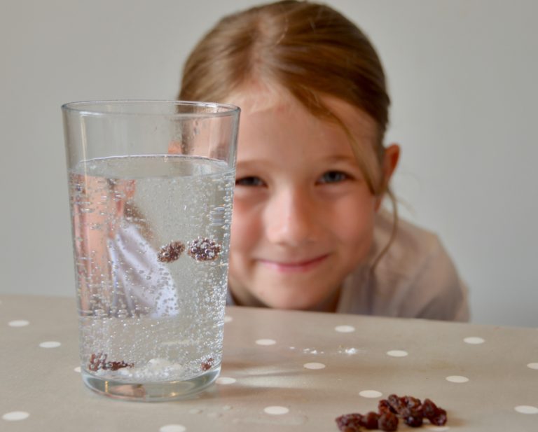 Raising Raisins - dancing raisins in a glass