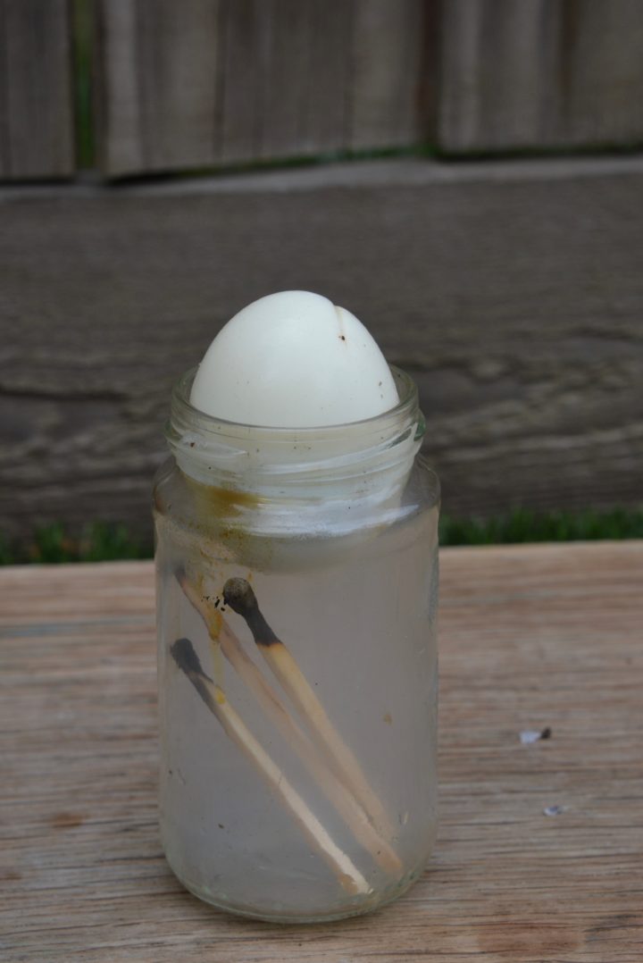 Egg In A Bottle Experiment How To Get An Egg In A Bottle