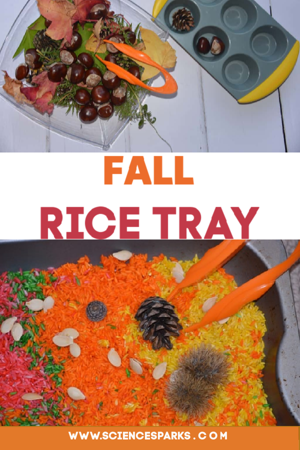 Fall Rice Tray - great seasonal fine motor skill activity #finemotorskills #fallactivities