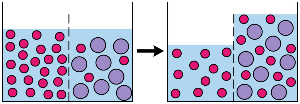 Diagram showing water molecules moving across a semi permeable membrane by osmosis