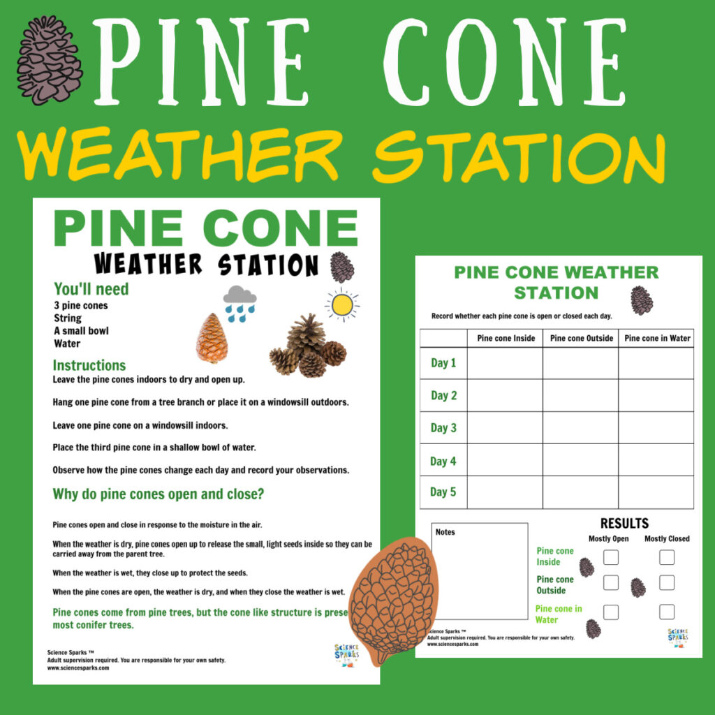 Pine Cone Weather Station