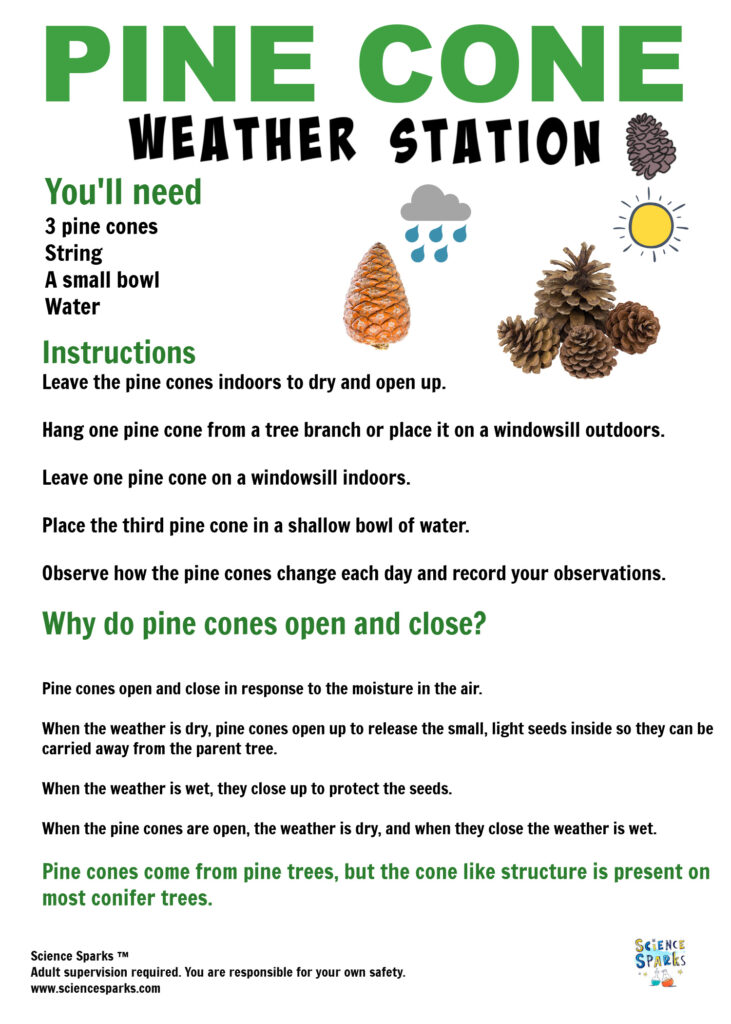 Pine Cone Weather Station Instructions