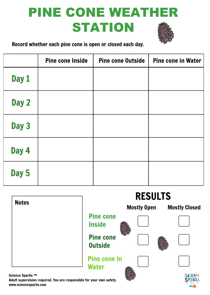 Pine Cone Weather Station Experiment results Table