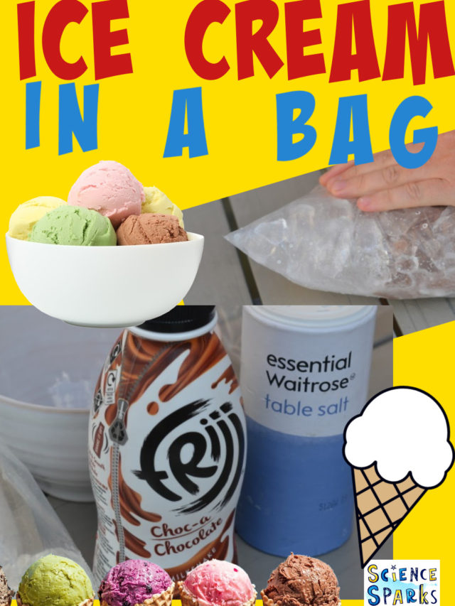 Ice Cream in a Bag Science Experiment