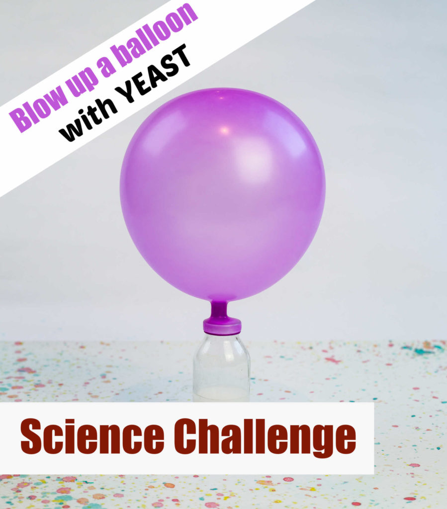 Blown up purple balloon with the bottom attached to a small jar containing yeast and water
