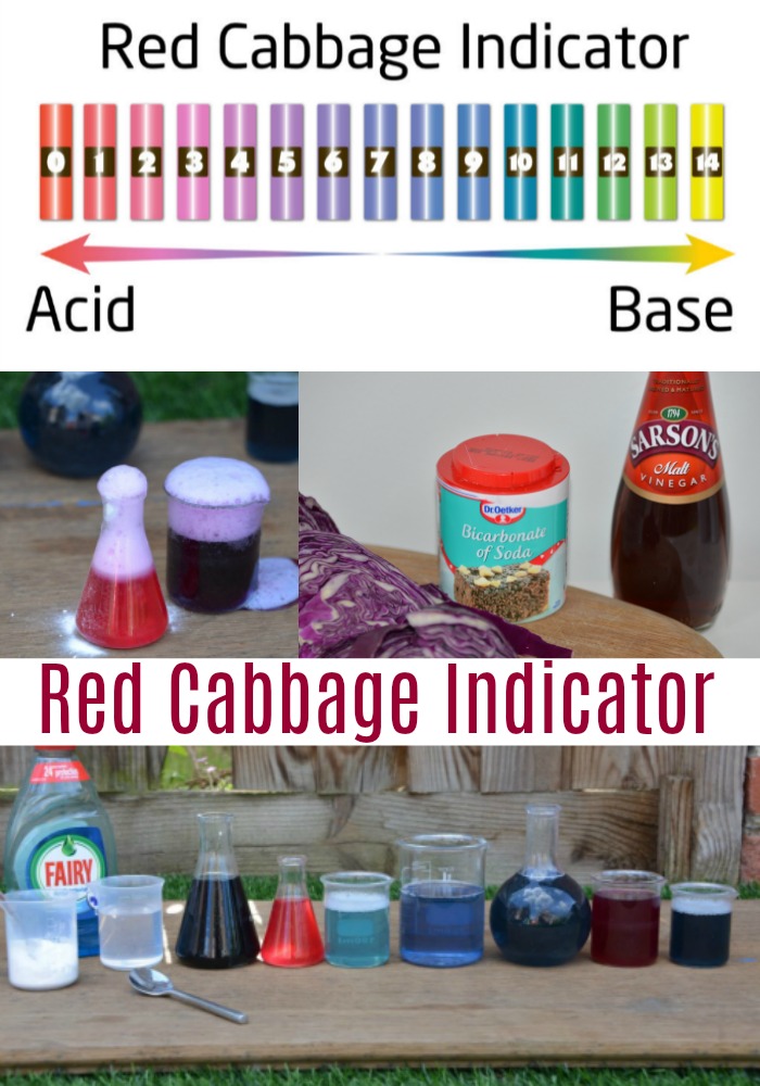 Red Cabbage pH Indicator. Use red cabbage to make a pH indicator. fun chemistry experiment for kids #chemistry #chemistryexperimentsforkids