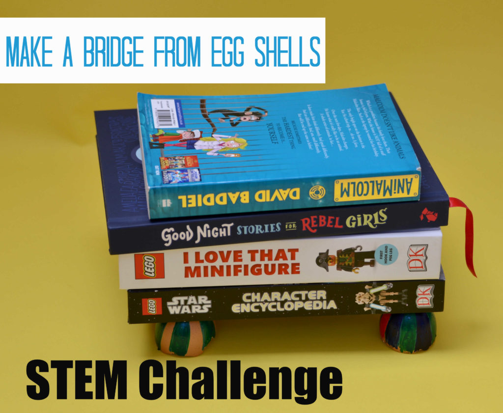 STEM Challenge - eggshell bridge