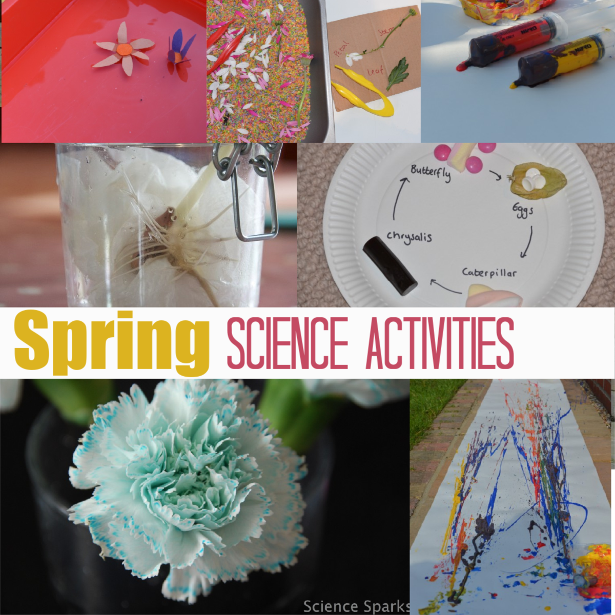 20 Fun Spring Science Experiments for Kids - Science Sparks