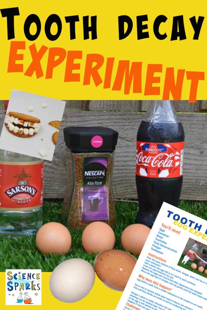 tooth decay experiment images. Eggs are used to demonstrate how drinks such as tea, coffee and cola cause staining and tooth decay,