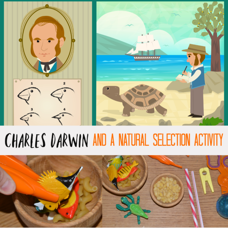 Charles Darwin and a natural selection activity