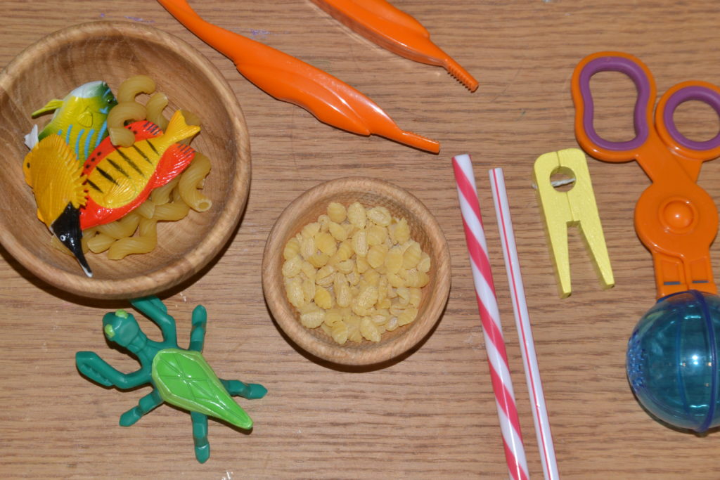 Image of different shapes pasts and small plastic fish next to tweezers and pegs for a natural selection activity