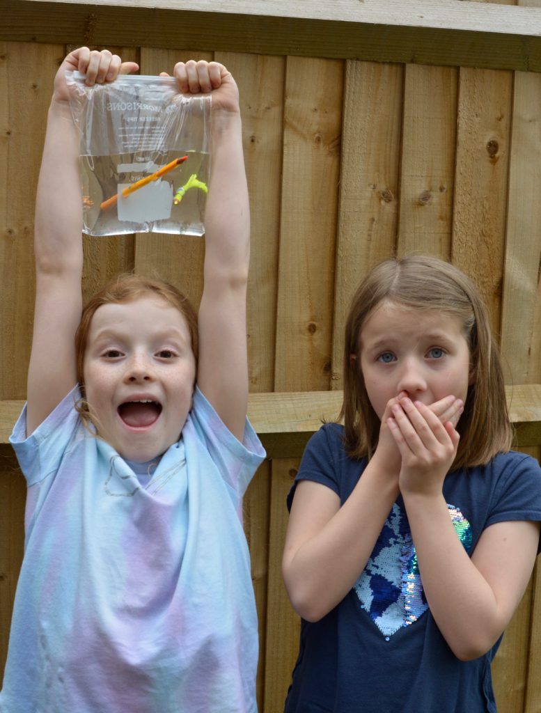 child holding up a plastic bag containing water with two pencils pushed through.