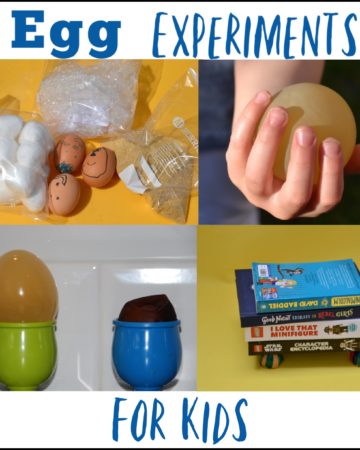 Collection of exciting egg experiments for kids