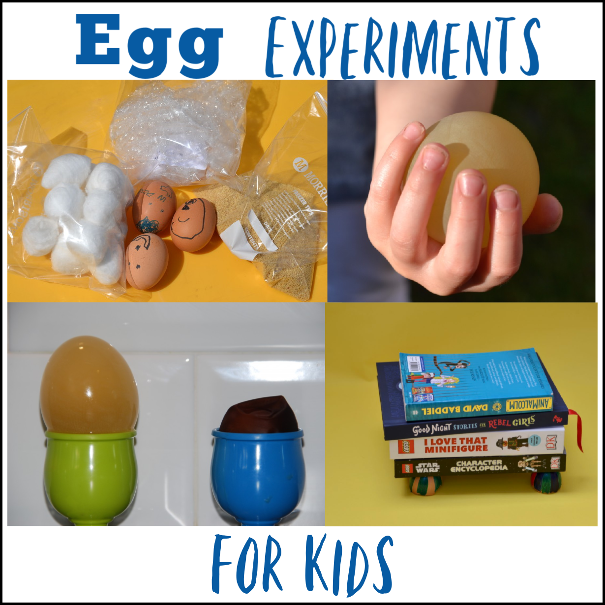 egg drop lab ideas