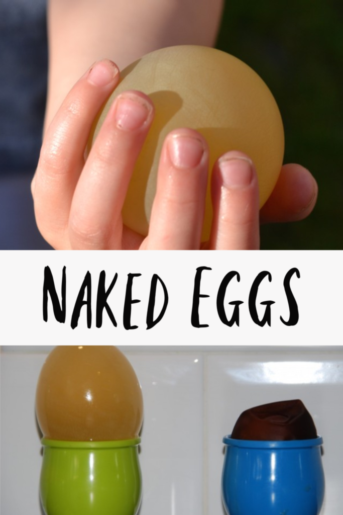 How to make a naked egg, fun kitchen science for kids #kitchenscience #scienceforkids #coolscience #eggexperiments