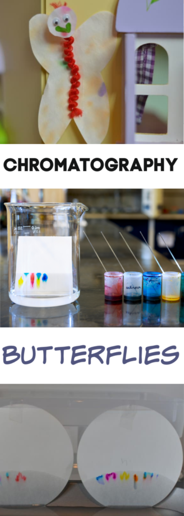 Chromatography Butterflies and other chromatography experiments. Try this fun science craft and then candy chromatography, leaf chromatography and more chromatography experiments #chromatography #scienceforkids #scienceexperimentsforkids