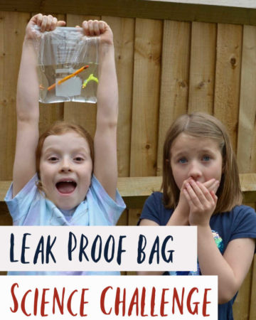Leak proof bag science challenge