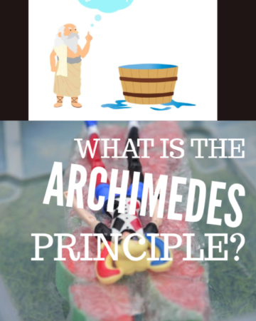 What is the Archimedes Principle