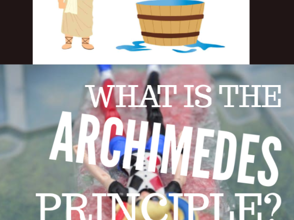 What is the Archimedes Principle