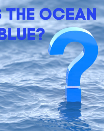 Why is the ocean blue - fun facts for kids
