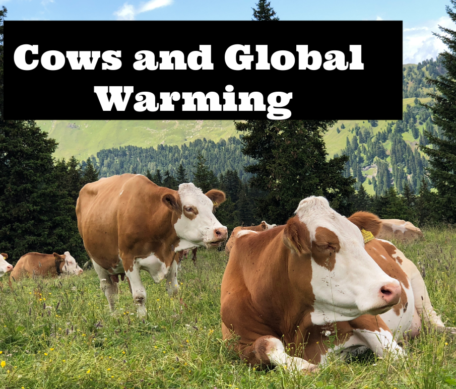 Climate Change for Kids - Cows and Global Warming