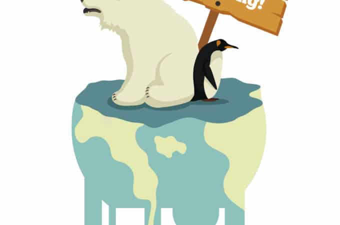 Polar Bear stood on a melting ice cap