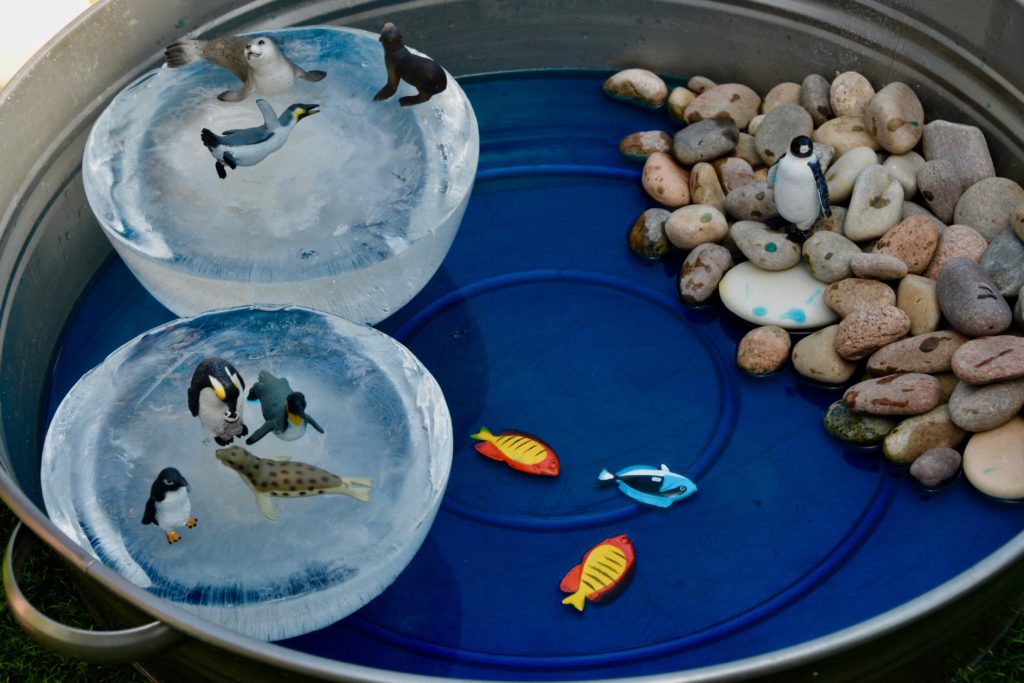 A large silver tray filled with blue water and ice cubes with polar animals on top for a science activity learning about melting polar ice caps