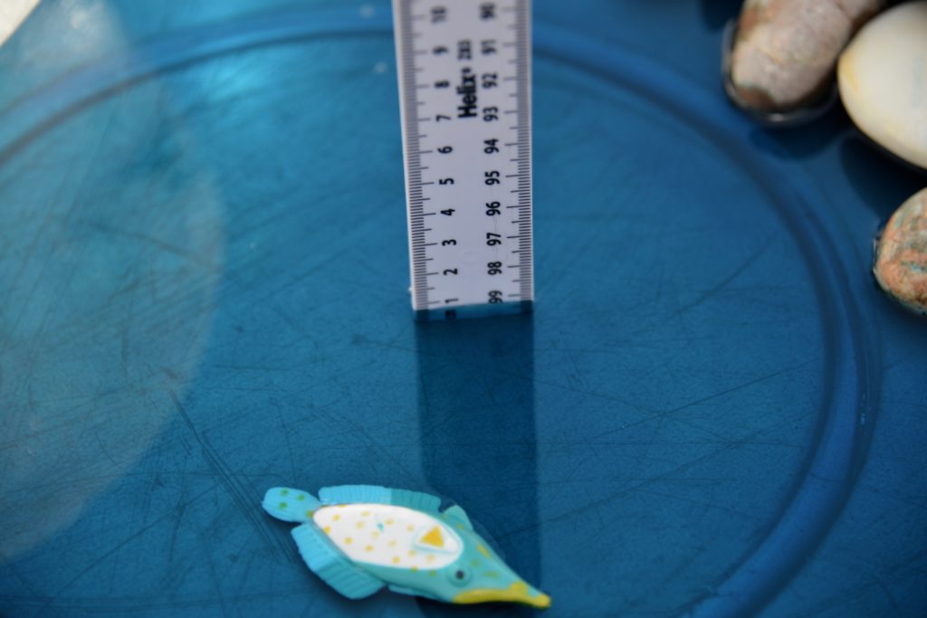 Ruler in a tray of blue water for a melting polar ice caps activity