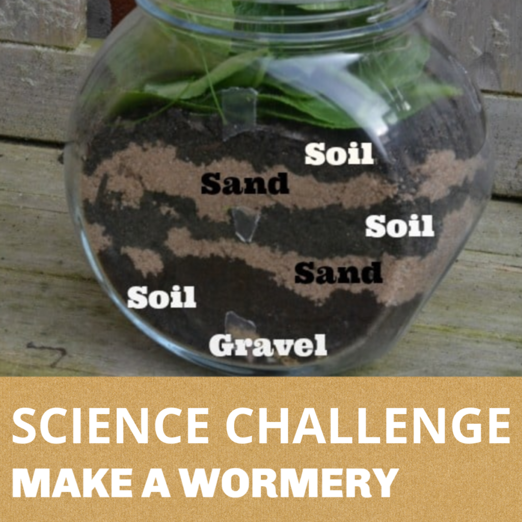 SCIENCE CHALLENGE FOR KIDS - MAKE A WORMERY