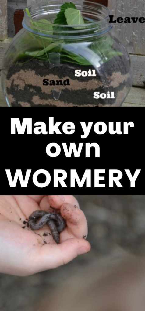 Homemade wormery - fun science for kids #wormery #homemadewormery