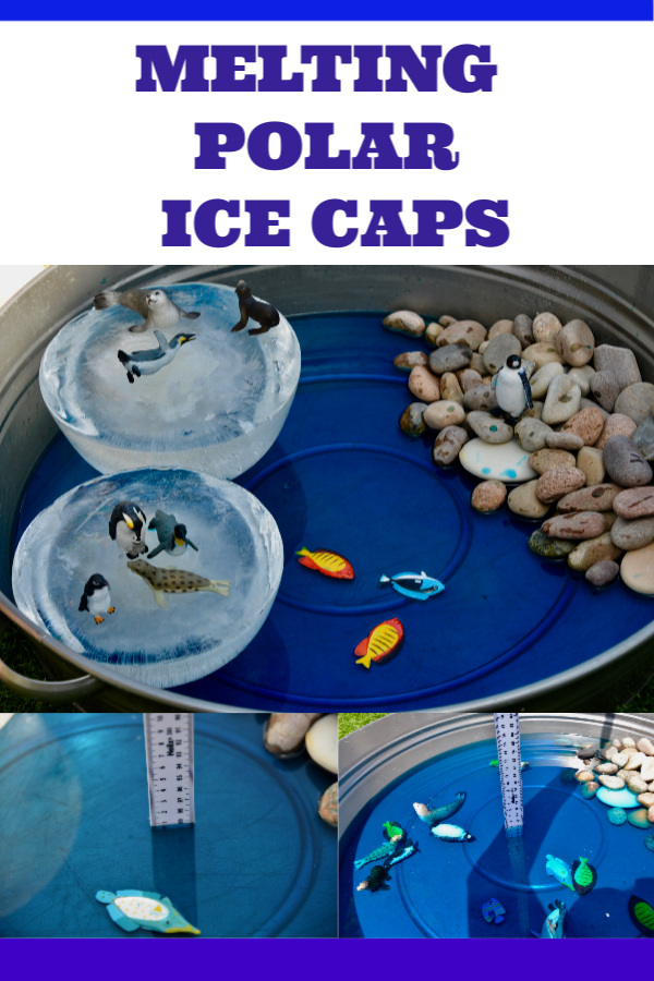 MELTING Polar Ice Caps activity - fun demonstration demonstrating the effect on sea levels of melting polar ice caps. #scienceforkids #polaricecaps #climatechange #climatechangeforkids