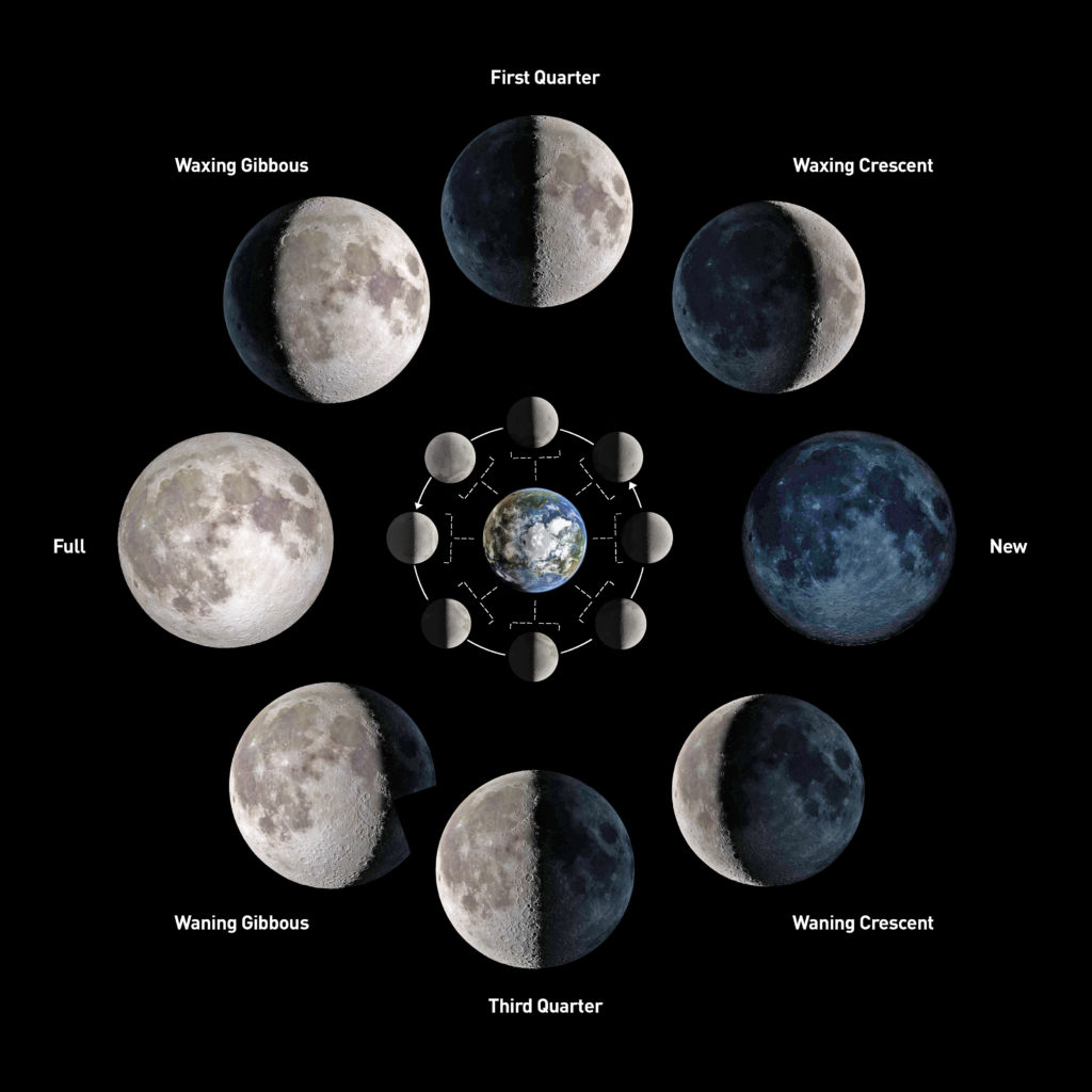Phases of the Moon shown with the Earth in the middle