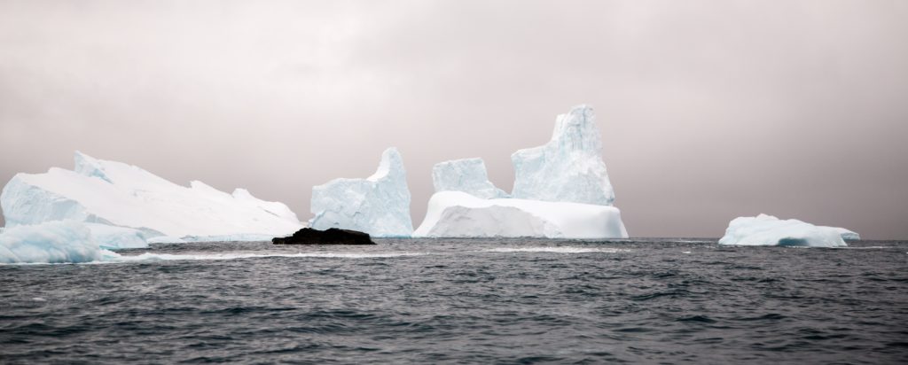 This image has an empty alt attribute; its file name is mathieu-perrier-txO21YbpsqI-unsplash-1024x412.jpg