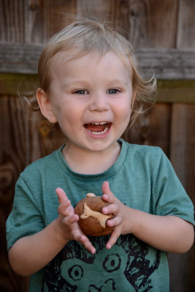 boy with dinosaur poop