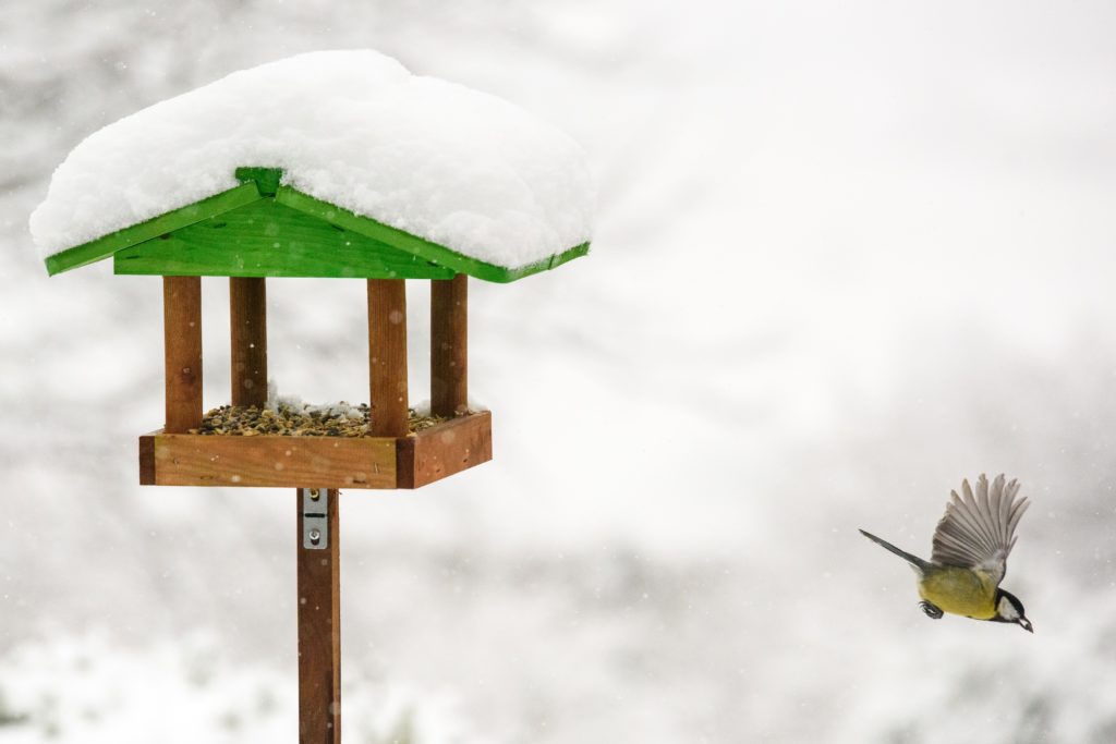 Bird table in the snow