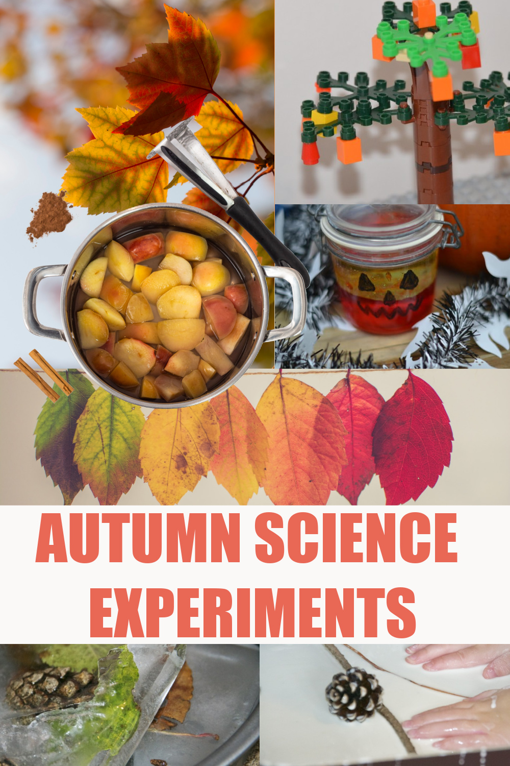 Awesome autumn science experiments for kids - pumpkin science, trees, leaves and more easy autumn science for kids #autumnscience #fallscience #scienceforkids #seasonsactivities