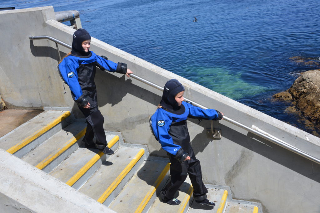 Underwater Explorers Surface Scuba Dive - Monterey Bay Aquarium