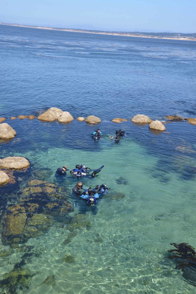 Great Tide Pool - Monterey Bay Aquarium