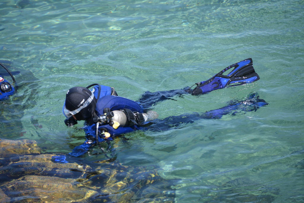 Surface Scuba Dive - Monterey