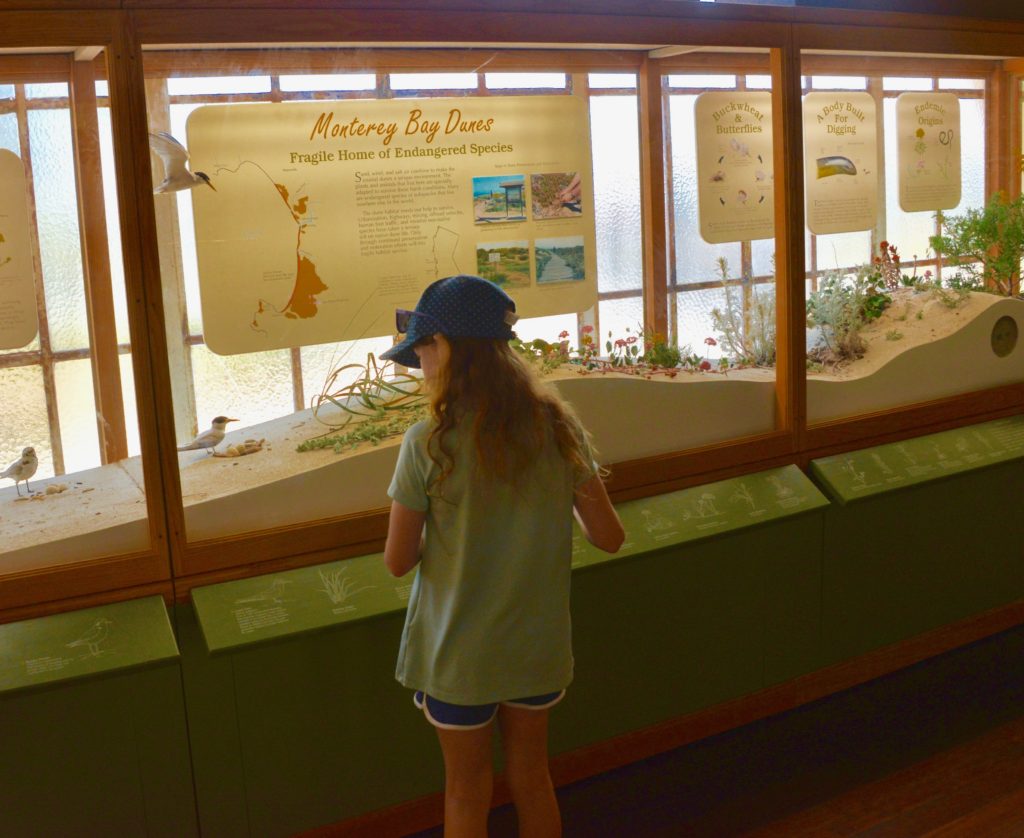 Exhiibit at Pacific Grove Natural History Museum