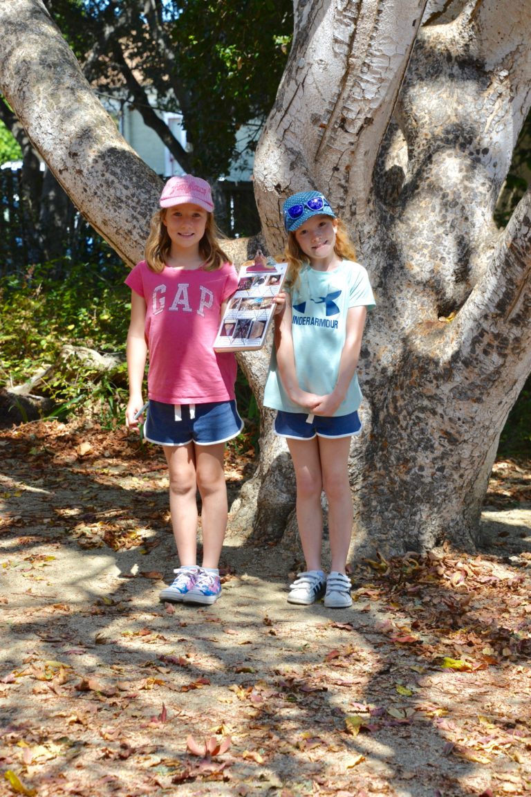Scavenger hunt - Pacific Grove Natural History Museum