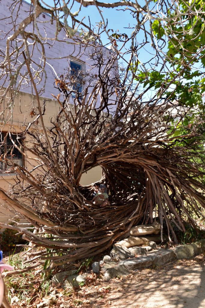 Pacific Grove Natural History Museum - spirit nest