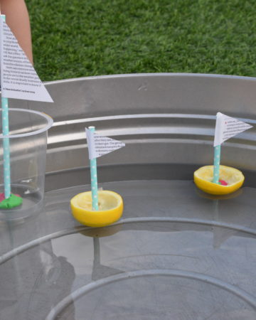 recycled boats for a preschool sink or float activity