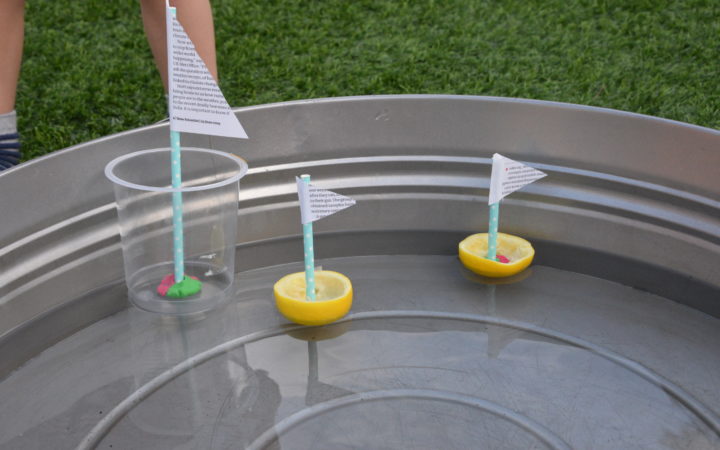 recycled boats for a preschool sink or float activity