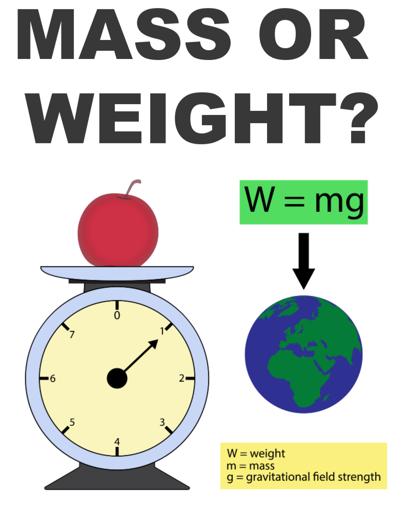 What is the difference between mass and weight?