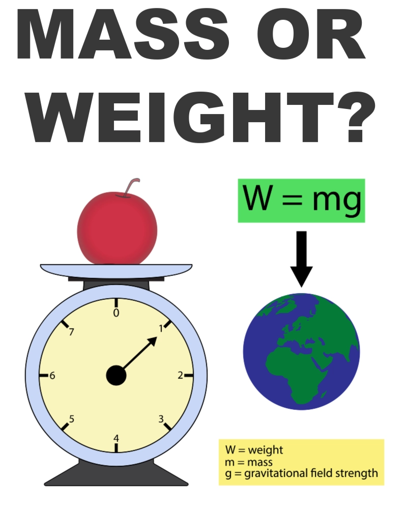 A representation the effect of the Earth's gravitational pull on our weight.