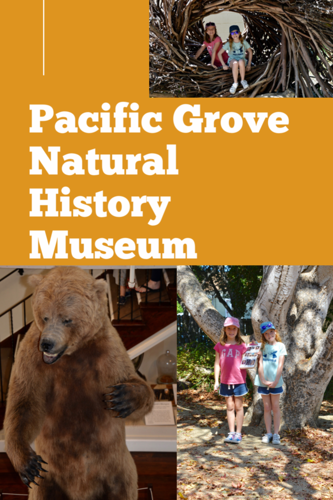 Pacific Grove Natural History Museum for Kids