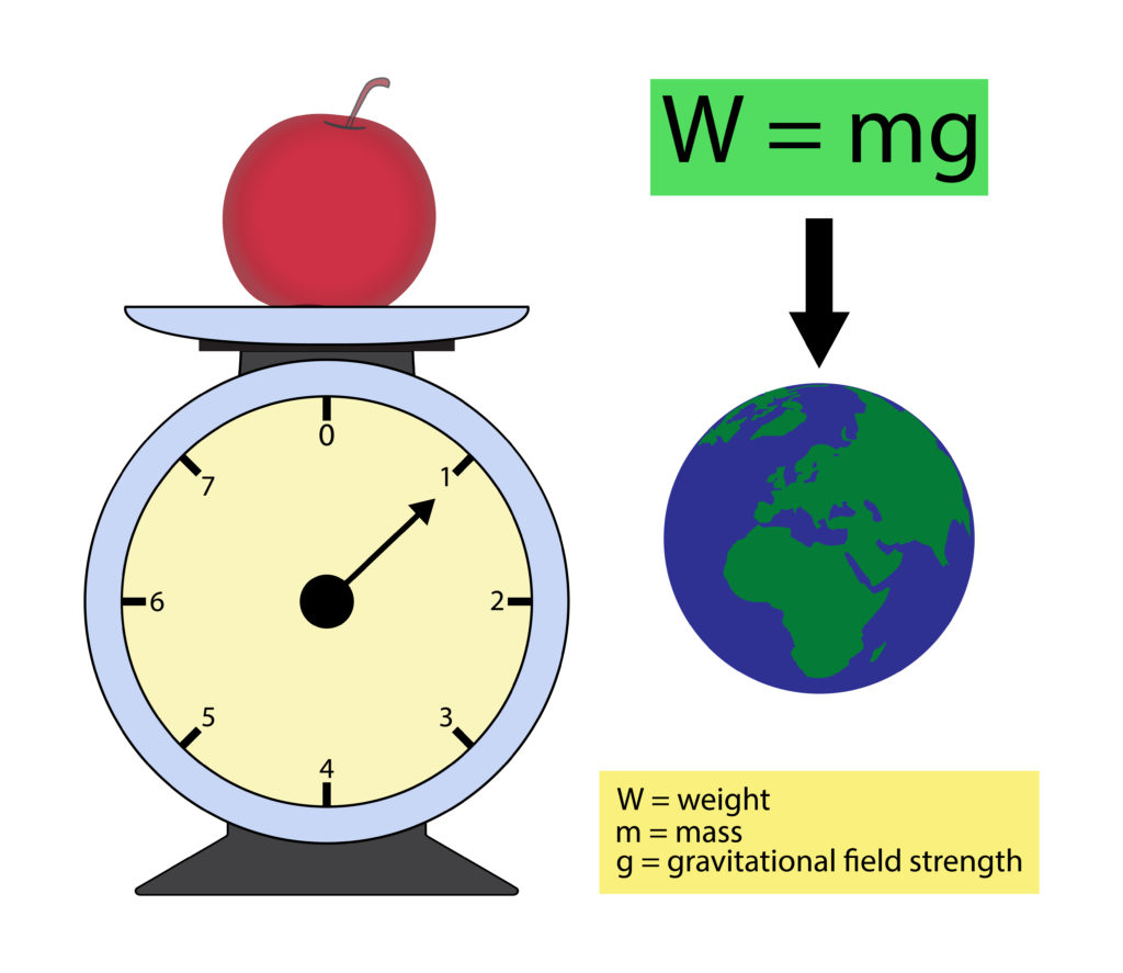 Diagram showing w = mg and an ordinary balance